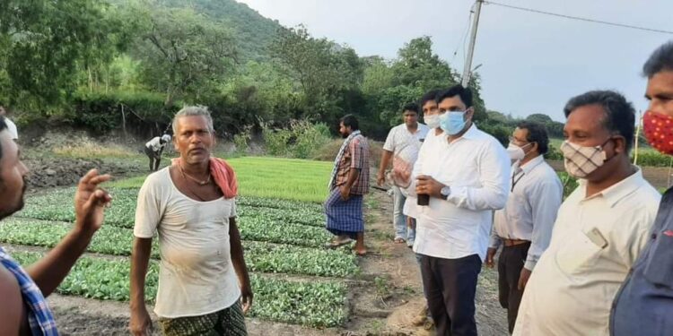 ଉଠା ଜଳସେଚନ ନିଗମ ଅଧ୍ୟକ୍ଷ ଅମରେଶ ପତ୍ରୀଙ୍କ ଛତ୍ରପୁର ନିର୍ବାଚନ ମଣ୍ଡଳୀରେ ଗଭୀର ନଳକୂପ କ୍ଲଷ୍ଟର ପ୍ରକଳ୍ପ ପରିଦର୍ଶନ 