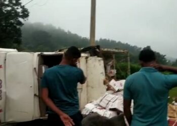 ଭାରସାମ୍ୟ ହରାଇ ଓଲଟିଲା ଫଳ ବୋଝେଇ ମିନି ଟ୍ରକ