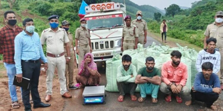 ଗଜପତି ଜିଲ୍ଲାର ନୂଆଗଡ ବ୍ଲକ ସମ୍ବଲପୁର ଗ୍ରାମରେ  : ପୋଲିସ ଚଢ଼ାଉ – ଦେଢ଼ କୋଟି ଟଙ୍କାର ୨୧କୁଇଁଟାଲ୪୫କେଜି୯୦୦ଗ୍ରାମଗଞ୍ଜେଇ ଜବତ – ୭ମହିଳା ସମେତ୨୬ଗିରଫ