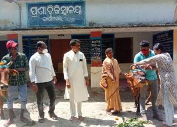 କାଶୀନଗରରେ ଗୋ ପୂଜନ ଓ ରକ୍ଷାବନ୍ଧନ ପାଳିତ