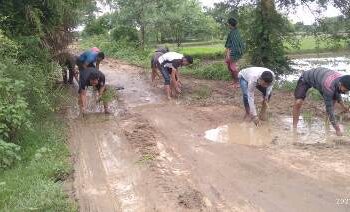 ରାସ୍ତା ଅବସ୍ଥା ଶୋଚନୀୟ, ଯୁବକମାନେ ରାସ୍ତାରେ ଧାନ ଲଗାଇଲେ