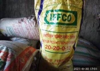 ଚାଷୀଙ୍କୁ ଚଢାଦରରେ ବିକ୍ରି ହେଉଛି ୟୁରିଆ ସାର, ଡିଏପି ସାରର ଦେଖା ନାହିଁ