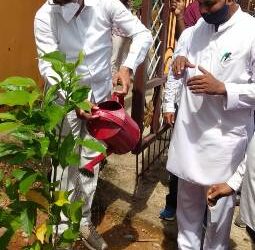 ସରସ୍ବତୀ ଶିଶୁ ବିଦ୍ୟାମନ୍ଦିର ପରିସରରେ ବୃକ୍ଷ ରୋପଣ କାର୍ଯ୍ୟକ୍ରମ ଅନୁଷ୍ଠିତ