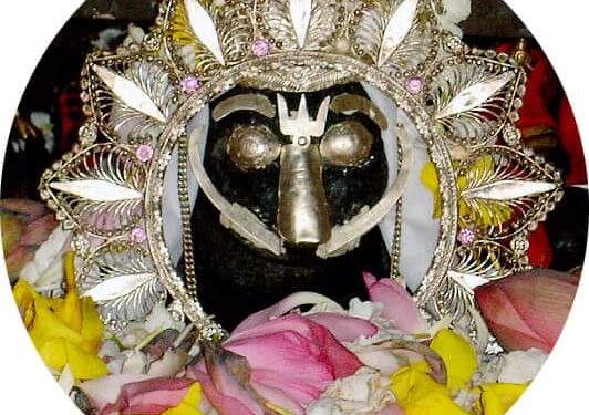 ଓଡିଶା ପ୍ରସିଦ୍ଧ ତୀର୍ଥକ୍ଷେତ୍ର ବରଗଡ ଜିଲ୍ଲା ଶ୍ରୀ ଶ୍ରୀ ନୃସିଂହନାଥ ମହାପ୍ରଭୁଙ୍କ ନୁଆଁଖାଇ ଲଗ୍ନ ଧାର୍ଯ୍ଯ