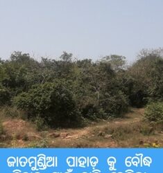ଅନ୍ତର୍ଜାତିକ କଳିଙ୍ଗ କୃତ୍ତି ସଂସ୍ଥାନ ଓ ଅଦୈତ୍ୟ ଫାଉଡେସନ ପକ୍ଷରୁ ଆଭାସୀ ମାଧ୍ୟମରେ ବିଶ୍ୱ ପର୍ଯ୍ୟଟନ ଦିବସ ପାଳିତ