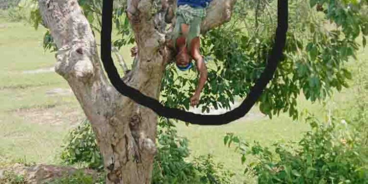 ବିଦ୍ୟୁତ୍ ତାର ଲାଗି ବୃଦ୍ଧ ବ୍ୟକ୍ତିଙ୍କ ମୃତ୍ୟୁ : ପ୍ରତିବାଦରେ ରାସ୍ତା ରୋକ – କ୍ଷତି ପୂରଣ ପରେ ରାସ୍ତା ରୋକ ହଟିଲା