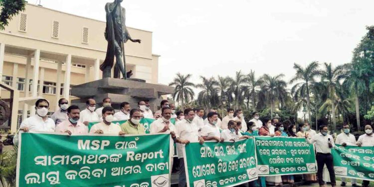 ଗାନ୍ଧୀ ପ୍ରତିମୂର୍ତ୍ତି ତଳେ ଧାରଣା ଦେଲେ ବିଜେଡି ବିଧାୟକ – କେନ୍ଦ୍ରର ଚାଷୀ ମାରଣନୀତି ପ୍ରତିବାଦରେ