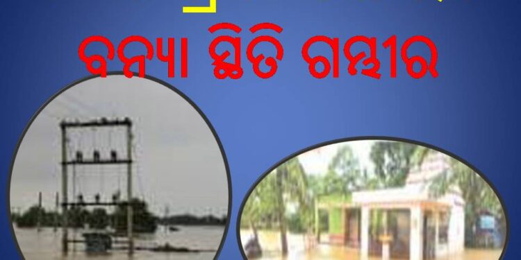 ଖରସ୍ରୋତା ଓ ଶାଖା କାଣୀ ନଦୀରେ ବନ୍ୟା ଆସିବା ପରେ କେନ୍ଦ୍ରାପଡା ଜିଲ୍ଲା ଆଳି ଧୋୟାଞ୍ଚଳରେ -୧୦ଟି ଗ୍ରାମ ପଞ୍ଚାୟତର ବନ୍ୟା ସ୍ଥିତି ଗମ୍ଭୀର ହୋଇ ପଡିଛି