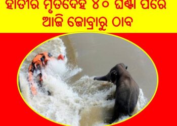 ଅପରେସନ୍ ଗଜରାଜ ବିଫଳ – ଓଡ୍ରାଫ୍, ବନ ବିଭାଗ ଓ ଅଗ୍ନିଶମ ବାହିନୀ
