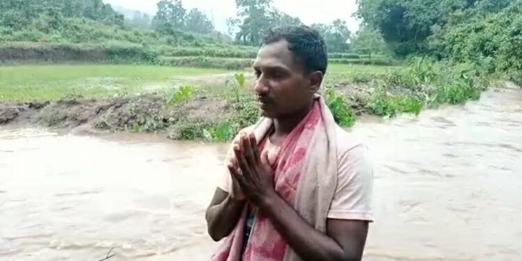 ଗଜପତି ଜିଲ୍ଲାରେ ଅଦିନିଆ ବର୍ଷାରେମୋହନା ବ୍ଲକରେ ବିଭିନ୍ନ ସ୍ଥାନରେ ଚାଷ ଜମିରେ ଆଣ୍ଠୁଏ ପାଣି, ଫସଲ ନଷ୍ଟ