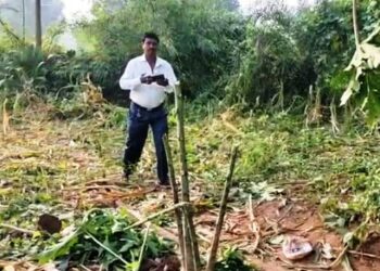 ମସ୍କା ପଦର ଗାଁରେ ପୁଣି ଜଙ୍ଗଲୀ ହାତୀଙ୍କ ଉପଦ୍ରବ