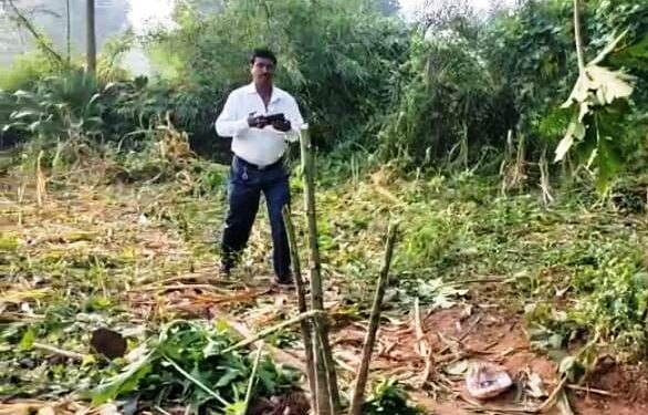 ମସ୍କା ପଦର ଗାଁରେ ପୁଣି ଜଙ୍ଗଲୀ ହାତୀଙ୍କ ଉପଦ୍ରବ