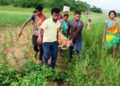 ଗର୍ଭବତୀଙ୍କୁ ୨ କି.ମି ଷ୍ଟ୍ରେଚରରେ ବୋହିଆଣି ମାନବିକତା ଦେଖାଇଲେ ୧୦୮ ଆମ୍ବୁଲାନ୍ସ କର୍ମଚାରୀ