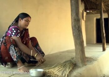 ଓଡ଼ିଶା ରାଜ୍ୟ ଜନଜାତି ସଂଗ୍ରହାଳୟକୁ ଭର୍ଚୁଆଲ୍ ଟୁର ଓଡ଼ିଶାର ଲୋଧା ଜନଜାତିଙ୍କ ପାରମ୍ପରିକ କଳା ଓ କାରିଗରୀ