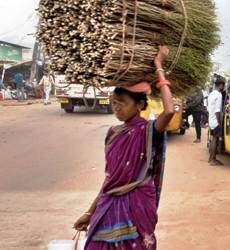 ଆଦିମଅଧିବାସୀଙ୍କ ପାଇଁ ଅର୍ଥ ଉପାର୍ଜନର ଏକ ମାଧ୍ୟମ ଅନାବଶ୍ୟକବଜ୍ରମୂଳି