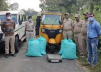 ମୋହନା ପୋଲିସ ଦ୍ଵାରା : ଅଟୋ ସହ ଗଞେଇ ଜବତ – ଗଞେଇ ଅଟୋ ଡ୍ରାଇଭର ଓ ଚୋରା ଚାଲାଣକାରୀ ପୋଲିସ ଆଖିରେ ଧୁଳି ଦେଇ ଚମ୍ପଟ