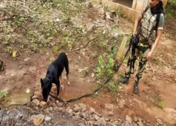 ମାଓବାଦୀଙ୍କ ଯୋଜନାକୁ ପଣ୍ଡ ୧୫୧ ବିଏନ ବିଏସ୍ଏଫ୍ ଯବାନ