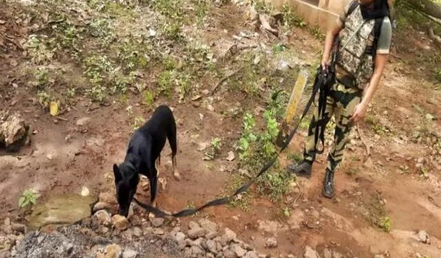 ମାଓବାଦୀଙ୍କ ଯୋଜନାକୁ ପଣ୍ଡ ୧୫୧ ବିଏନ ବିଏସ୍ଏଫ୍ ଯବାନ