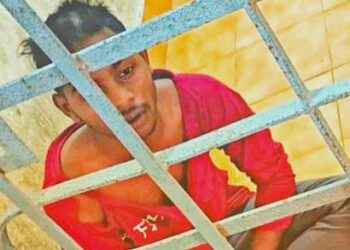 ସ୍ଥାନୀୟ ଲୋକଙ୍କ କବ୍ଜା ରେ ଚେନ ଲୁଟେରା – ସହିଦନଗର