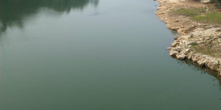 କେନ୍ଦୁଝର ଜିଲ୍ଲା ବନ ବିଭାଗଙ୍କ ର କୁମ୍ଭକର୍ଣ୍ଣ ନିଦ କେବେ ଭାଙ୍ଗିବ – ରେମାଳ ଡ୍ୟାମରେ ଜାଲ