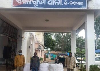 ଅଟୋ ସହ ଗଞ୍ଜେଇ ଜବତ : ଜଣେ ଗିରଫ