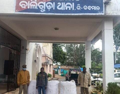 ଅଟୋ ସହ ଗଞ୍ଜେଇ ଜବତ : ଜଣେ ଗିରଫ