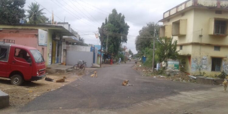 ନର୍ଲା ବିଧାୟକଙ୍କ ହସ୍ତକ୍ଷେପ ପରେ ଅବହେଳିତ ରାସ୍ତାର ମରାମତି