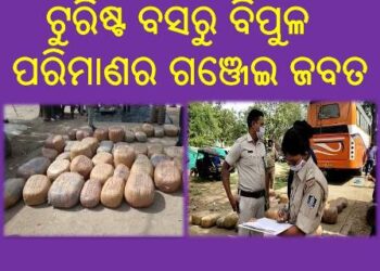 ଟୁରିଷ୍ଟ ବସରୁ ବିପୁଳ ପରିମାଣର ଗଞ୍ଜେଇ ଜବତ