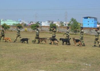 ସୀମା ସୁରକ୍ଷା ବାହିନୀ ପକ୍ଷରୁ କୁକୁର ପଦର୍ଶନୀ କାର୍ଯ୍ୟକ୍ରମ ଅନୁଷ୍ଟିତ