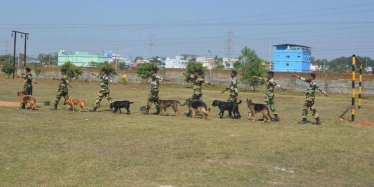 ସୀମା ସୁରକ୍ଷା ବାହିନୀ ପକ୍ଷରୁ କୁକୁର ପଦର୍ଶନୀ କାର୍ଯ୍ୟକ୍ରମ ଅନୁଷ୍ଟିତ