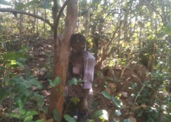 ଚପଟଖଣ୍ଡା ଜଙ୍ଗଲରେ ଅଚିହ୍ନା ଝୁଲନ୍ତା ଶବ