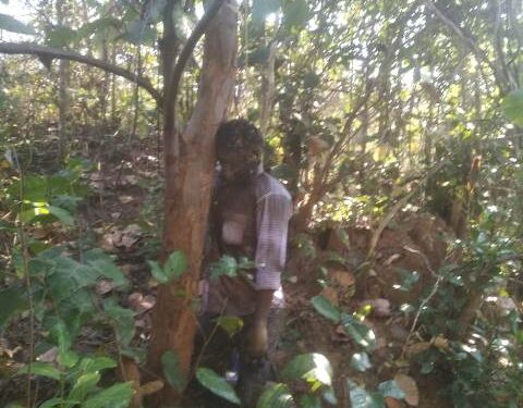 ଚପଟଖଣ୍ଡା ଜଙ୍ଗଲରେ ଅଚିହ୍ନା ଝୁଲନ୍ତା ଶବ