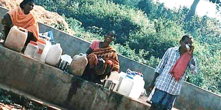 ବିହାରୀ ଚୋରାମଦ ସ୍ଥାନ ଅଧିକାର କରିଛି ବୈପାରିଗୁଡା ବ୍ଲକ, ଏହାର ମୂଳୋତ୍ପାଟନ କେବେ ?