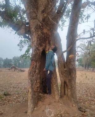 ଫାଶି ଅବ୍ୟସ୍ଥାରେ ଯୁବକ ର ଶବ ଉଦ୍ଧାର , ହତ୍ୟା ନା ଆତ୍ମହତ୍ୟା ତାହା ସନ୍ଦେହ ,ପୋଲିସ ର ତଦନ୍ତ ଜାରୀ