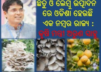 ଛତୁ ଓ ଲେମ୍ବୁ ଉତ୍ପାଦନରେ ଓଡିଶା ହେଉଛି ଏକ ନମ୍ବର ରାଜ୍ୟ : ଅରୁଣ