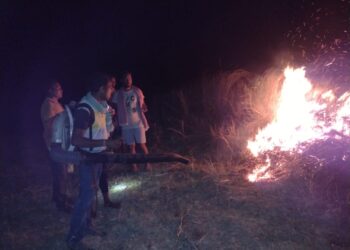 ଦେଣ୍ଡୋଗୁଡା ଜଙ୍ଗଲରେ ନିଆଁ କାବୁ କଲେ ବନ କର୍ମଚାରୀ