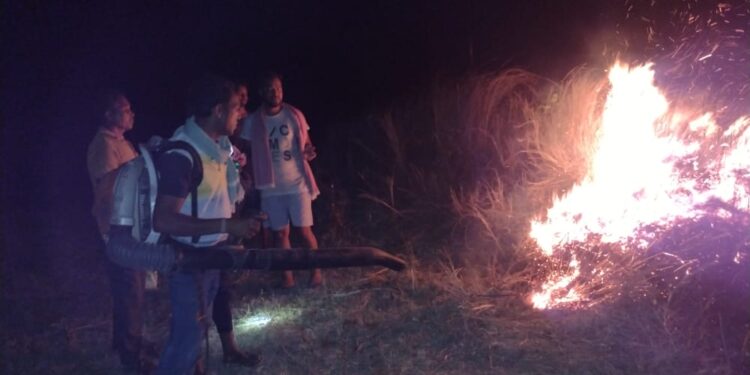 ଦେଣ୍ଡୋଗୁଡା ଜଙ୍ଗଲରେ ନିଆଁ କାବୁ କଲେ ବନ କର୍ମଚାରୀ