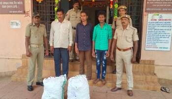 ବୈପାରିଗୁଡା ପୋଲିସ ପକ୍ଷରୁ ବହୁ ଦିନ ପରେ ଗଞ୍ଜେଇ ଜବତ , ୩ ଜଣ ଚାଲାଣକାରୀ ଗିରଫ