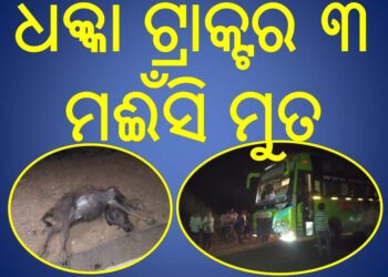 ଧକ୍କା ଟ୍ରାକ୍ଟର  ୩ ମଈଁସି ମୁତ : ଲୋକଙ୍କ ଗହଳି ଦେଖି ରାସ୍ତା ତଳକୁ ଖସି ଗଲା ବସ 