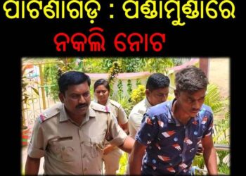 ପାଟଣାଗଡ଼ : ପଣ୍ଡାମୁଣ୍ଡାରେ ନକଲି ନୋଟ