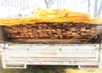 କାଠ ଗଣ୍ଡି ଚୋରା ଚାଲାଣ ବେଳେ ଭିଜିଲାନ୍ସ ସ୍କ୍ୱାର୍ଡ ଦ୍ଵାରା ଧରାପଡିଲା