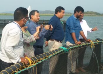 ହୀରାକୁଦର କେଜ୍ ଫିସ୍ କଲ୍ଚର ଏକ ସଫଳ ମୋଡେଲ୍ – ମୁଖ୍ୟ ଶାସନ ସଚିବ ଶ୍ରୀ ମହାପାତ୍ର