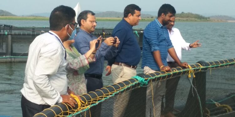 ହୀରାକୁଦର କେଜ୍ ଫିସ୍ କଲ୍ଚର ଏକ ସଫଳ ମୋଡେଲ୍ – ମୁଖ୍ୟ ଶାସନ ସଚିବ ଶ୍ରୀ ମହାପାତ୍ର