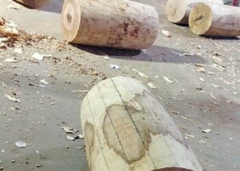 ତିନିଦିନରେ ରଥର ୪୨ଟି ତୁମ୍ ବକାମ ଶେଷ ହୋଇଛି