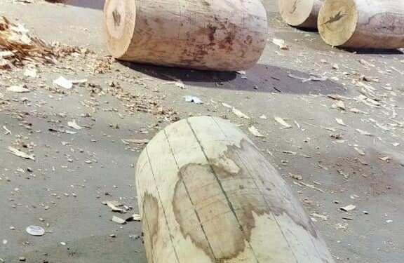 ତିନିଦିନରେ ରଥର ୪୨ଟି ତୁମ୍ ବକାମ ଶେଷ ହୋଇଛି