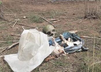 ମାଛ ଧରାଳିଙ୍କୁ ମାଛ ବଦଳରେ କଙ୍କାଳ ମିଳିଲା