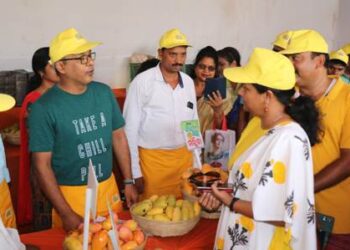 ଗାଁ ଆମ୍ବ ପସରା ଉଦଘାଟିତ