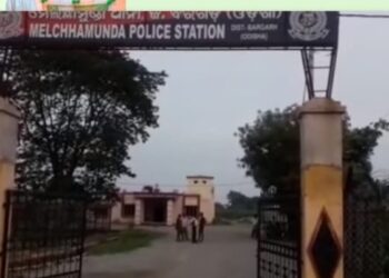 ଝିଅ ବାହାଘର ଚାଲିଥିବା ବେଳେ ବଳି ପଡ଼ିଲେ ମା