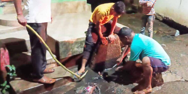 ନଳା ସଫା କଲେ କର୍ପୋରେଟର ଶିବ ବେହେରା