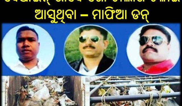 ଟଙ୍କା ବଦଳରେ କଣ ନିଜ ମାଆଙ୍କ ଜୀବନକୁ ବି କଂସେଇ ହାତରେ ଟେକି ଦେବ…?